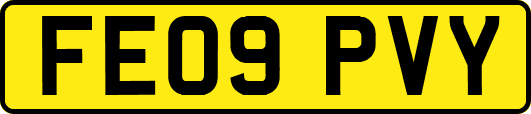 FE09PVY