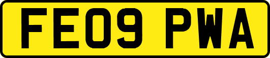 FE09PWA