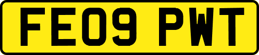FE09PWT