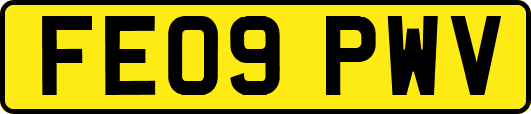 FE09PWV