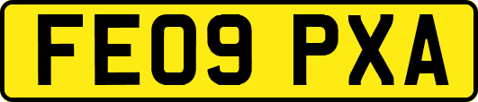 FE09PXA