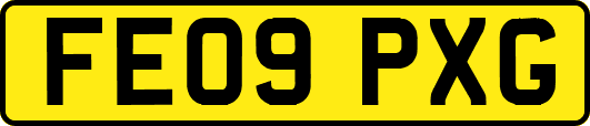 FE09PXG