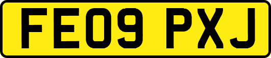 FE09PXJ