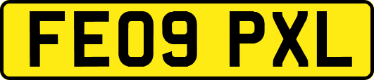 FE09PXL