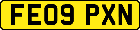 FE09PXN