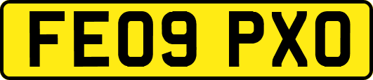 FE09PXO