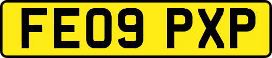 FE09PXP