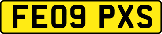 FE09PXS