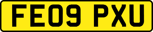 FE09PXU
