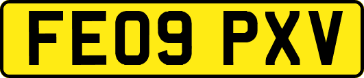 FE09PXV