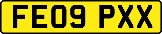 FE09PXX