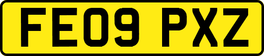 FE09PXZ
