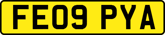 FE09PYA