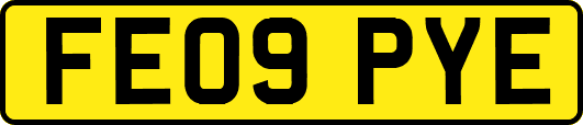 FE09PYE