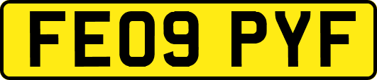 FE09PYF