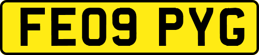 FE09PYG