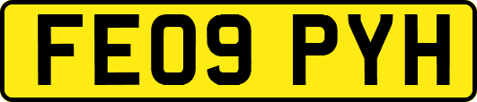 FE09PYH