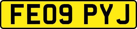 FE09PYJ
