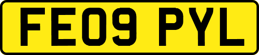 FE09PYL