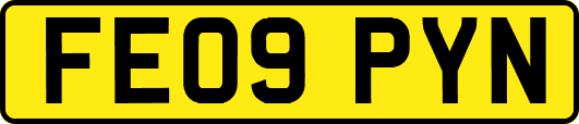 FE09PYN