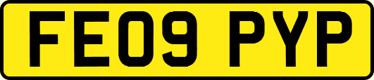 FE09PYP