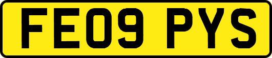 FE09PYS