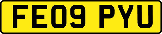 FE09PYU