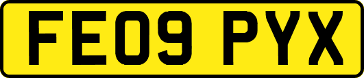 FE09PYX