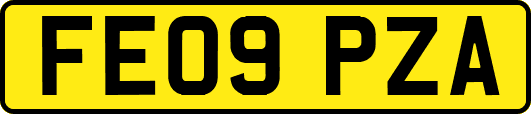 FE09PZA