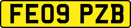 FE09PZB