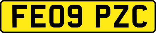 FE09PZC