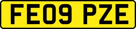 FE09PZE