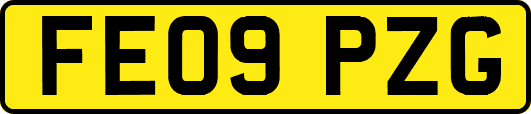 FE09PZG