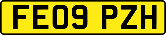 FE09PZH