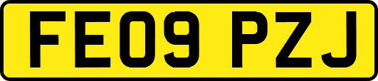 FE09PZJ
