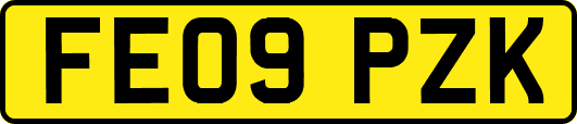 FE09PZK