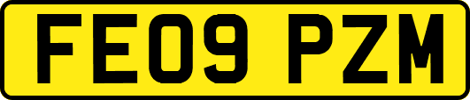 FE09PZM