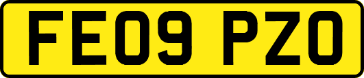 FE09PZO