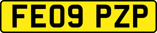 FE09PZP