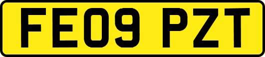 FE09PZT