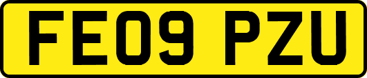 FE09PZU