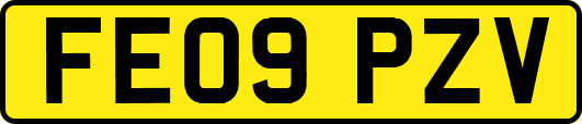 FE09PZV