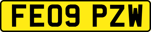 FE09PZW