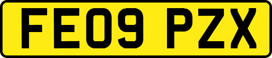 FE09PZX