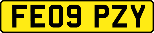 FE09PZY