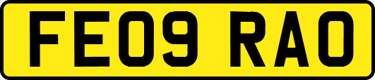 FE09RAO