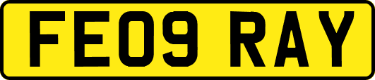 FE09RAY
