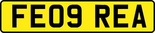 FE09REA