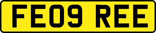 FE09REE