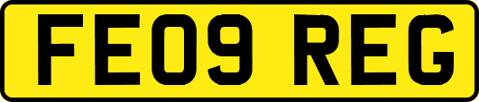 FE09REG